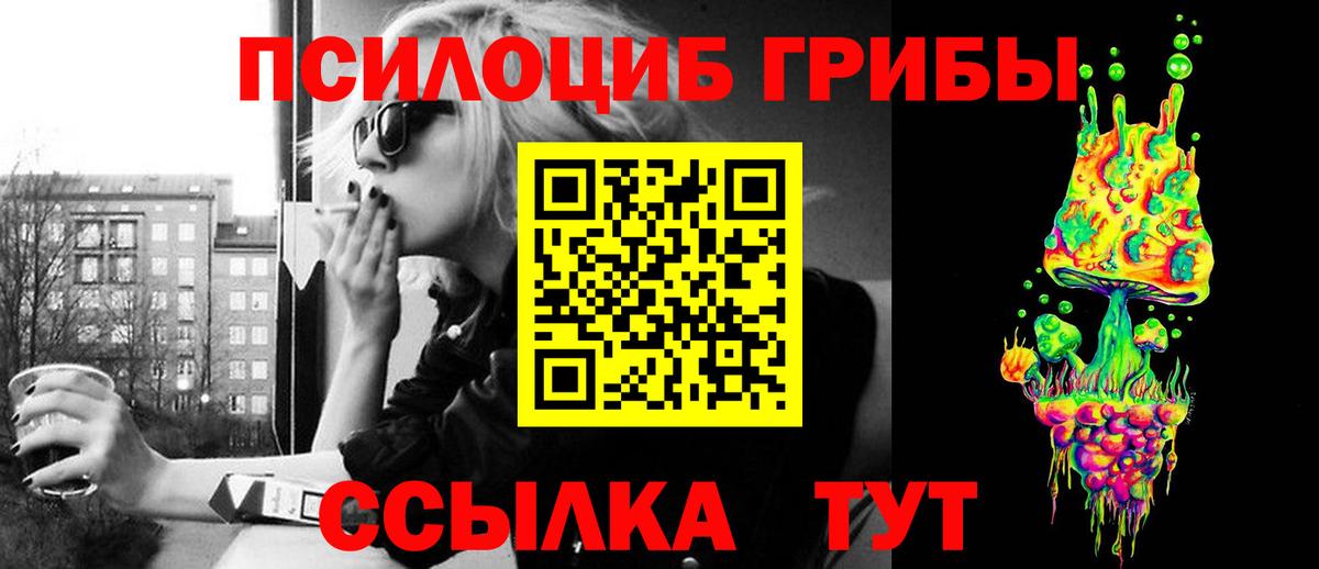 Псилоцибиновые грибы Magic Shrooms  Вход с VPN  Вязники  Псилоцибиновые грибы Psilocybe 